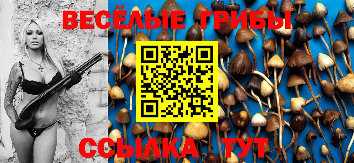 Шарыпово  Галлюциногенные грибы MAGIC MUSHROOMS  Вход с VPN 