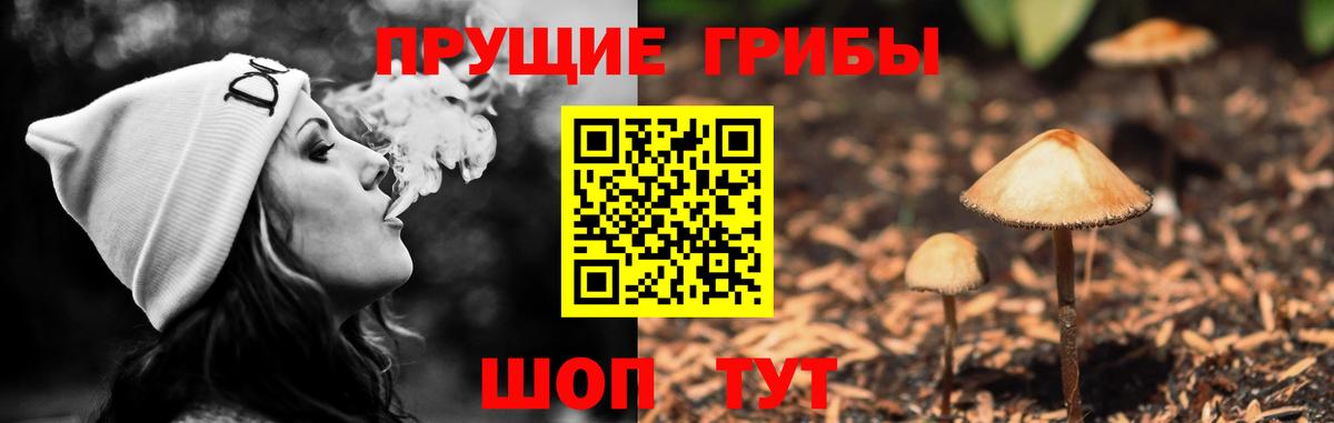 Псилоцибиновые грибы MAGIC MUSHROOMS Шарыпово